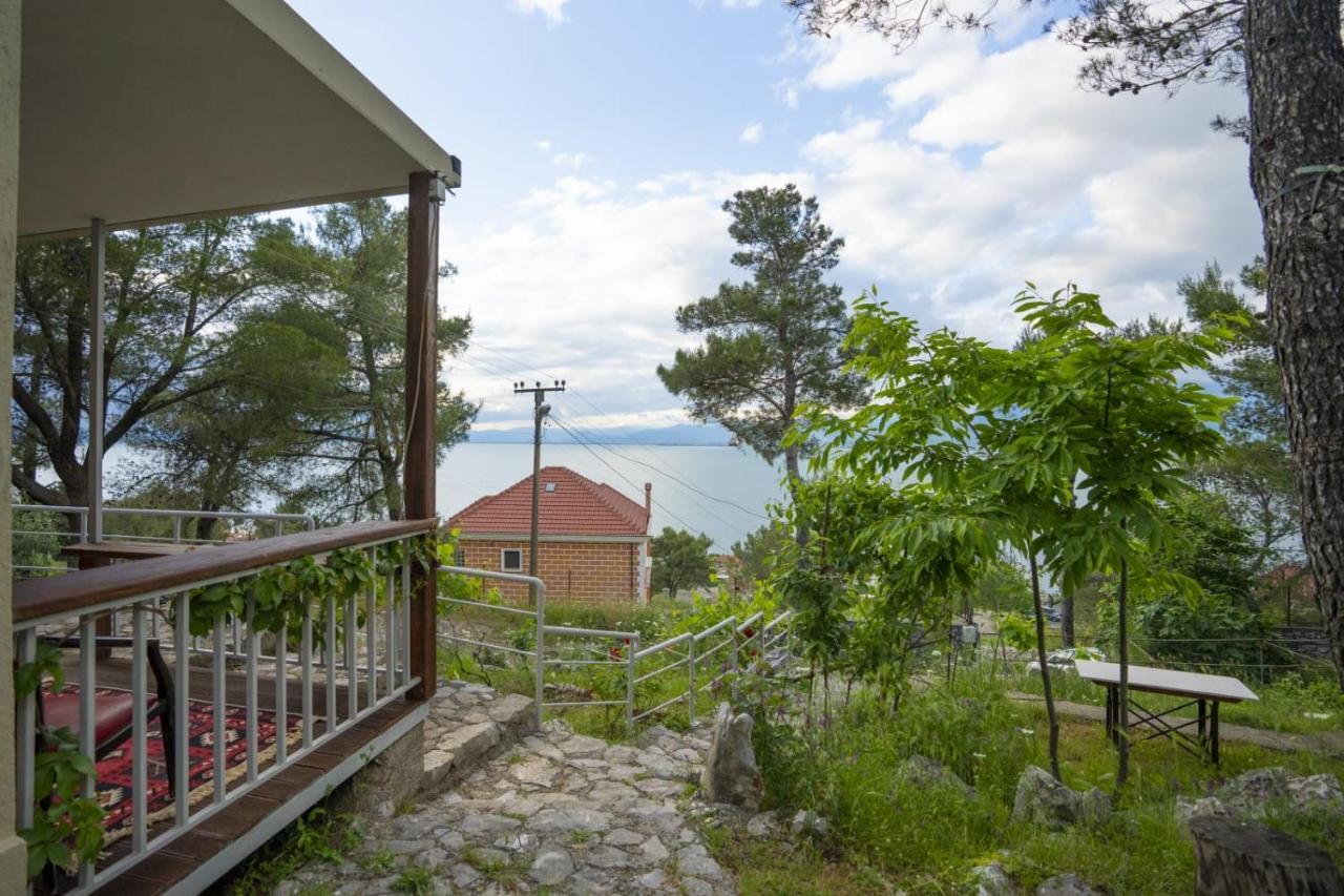 Among The Trees Villa Široka Eksteriør billede