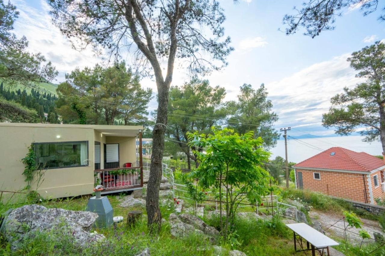 Among The Trees Villa Široka Eksteriør billede