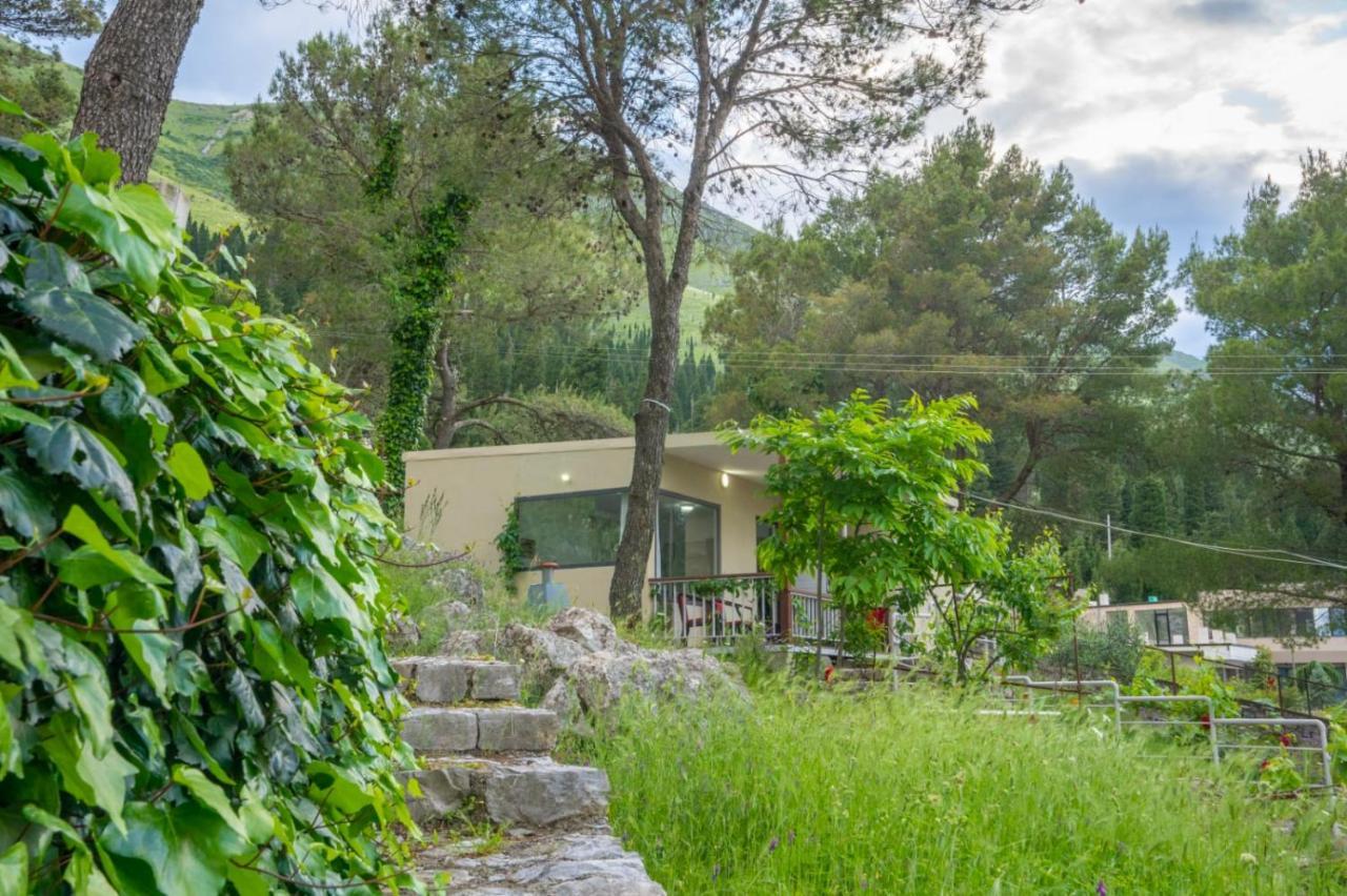 Among The Trees Villa Široka Eksteriør billede